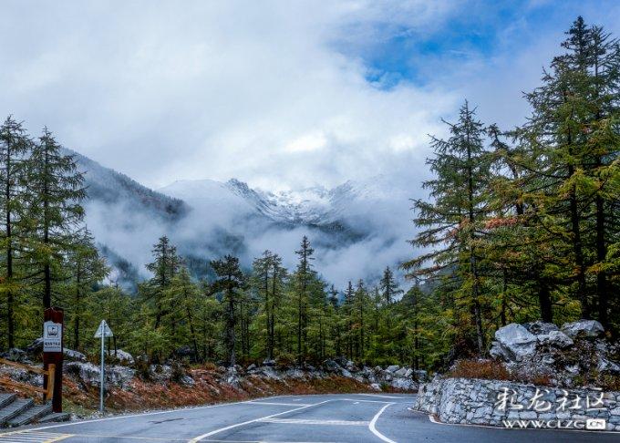 雷火官方网站入口